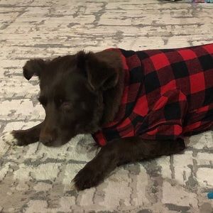 Meet your Posher, Presley